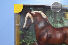 Load image into Gallery viewer, Montanara-Breyerfest Exclusive-New in Box-DAMAGED BOX-Freisian Mold-Breyer Traditional
