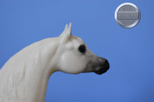 Load image into Gallery viewer, Buffalo Bill's Isham-Proud Arabian Stallion Mold-Breyer Traditional