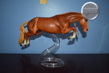 Load image into Gallery viewer, Barrington-NO COA-Vintage Club Exclusive-Jumping Warmblood Mold-Breyer Traditional