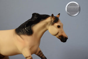 Hollywood Dun It-Original on the Mold-Breyer Classic