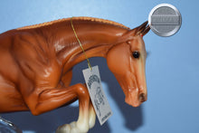 Load image into Gallery viewer, Barrington-NO COA-Vintage Club Exclusive-Jumping Warmblood Mold-Breyer Traditional