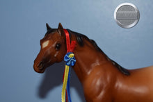 Load image into Gallery viewer, Spice-Terrang Mold-Breyer Classic