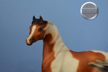 Load image into Gallery viewer, Tseminole Wind-Breyerfest Exclusive-Sham Mold-Breyer Traditional