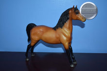 Load image into Gallery viewer, Reddish Bay Morgan-Stretch Morgan Mold-Breyer Traditional
