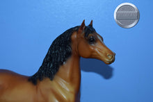 Load image into Gallery viewer, Reddish Bay Morgan-Stretch Morgan Mold-Breyer Traditional