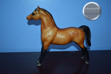 Load image into Gallery viewer, Reddish Bay Morgan-Stretch Morgan Mold-Breyer Traditional