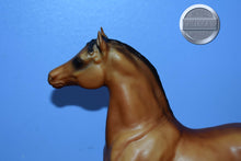 Load image into Gallery viewer, Reddish Bay Morgan-Stretch Morgan Mold-Breyer Traditional