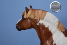 Load image into Gallery viewer, Honeybear-Georg Mold-Breyer Traditional