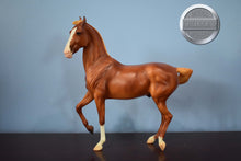 Load image into Gallery viewer, Nazruddin-Breyerfest Exclusive-Marwari Mold-Breyer Traditional