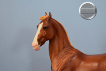 Load image into Gallery viewer, Nazruddin-Breyerfest Exclusive-Marwari Mold-Breyer Traditional