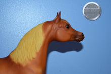 Load image into Gallery viewer, Sundown-Proud Arabian Stallion Mold-Breyer Traditional