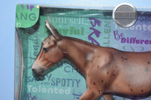 Load image into Gallery viewer, Alan a Days Work-Breyerfest Exclusive-Brown Sunshine Mold-Breyer Traditional