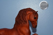 Load image into Gallery viewer, Sherman Morgan-Original on the Mold-Breyer Traditional