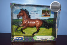 Load image into Gallery viewer, Ballynoe Castle RM-Breyerfest Exclusive-Show Jumping Warmblood Mold-Breyer Traditional