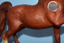 Load image into Gallery viewer, Sherman Morgan-Original on the Mold-Breyer Traditional