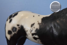 Load image into Gallery viewer, Stud Spider-BODY-Breyer Traditional