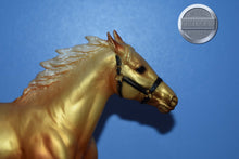 Load image into Gallery viewer, Horse of a Different Color-Pacer Mold-Breyer Traditional