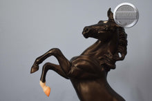 Load image into Gallery viewer, Black Beauty-Re/Release Edition-Silver Mold-Breyer Traditional