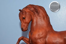 Load image into Gallery viewer, Sherman Morgan-Original on the Mold-Breyer Traditional