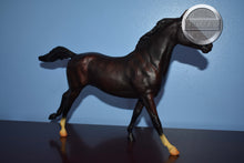 Load image into Gallery viewer, Mahogany Bay from Salute Gift Set-Phar Lap Mold-Breyer Traditional