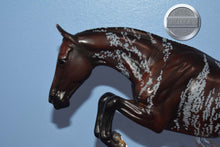 Load image into Gallery viewer, Queen of Hearts Josie-Matte Version-Breyerfest Exclusive-Bristol Mold-Breyer Traditional