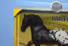 Load image into Gallery viewer, Harley-New in Box-Freisian Mold-Breyer Traditional