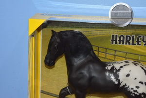 Harley-New in Box-Freisian Mold-Breyer Traditional