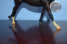 Load image into Gallery viewer, Mahogany Bay from Salute Gift Set-Phar Lap Mold-Breyer Traditional