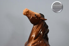 Load image into Gallery viewer, Sarsparilla-Breyerfest Exclusive-Semi Rearing Mustang Mold-Breyer Traditional