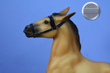 Load image into Gallery viewer, Buckskin Mule-Black Horse Ranch Exclusive-Balking Mule Mold-Breyer Traditional