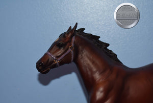 Niatross-Pacer Mold-Breyer Traditional