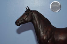 Load image into Gallery viewer, Mahogany Bay from Salute Gift Set-Phar Lap Mold-Breyer Traditional