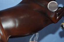 Load image into Gallery viewer, Queen of Hearts Josie-Matte Version-Breyerfest Exclusive-Bristol Mold-Breyer Traditional