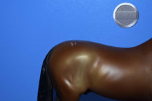 Load image into Gallery viewer, Nikolas BODY-Breyerfest Exclusive-German Riding Pony Mold-Breyer Traditional