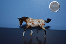 Load image into Gallery viewer, Tobias-Stablemate Club Exclusive-Appaloosa Mold-Breyer Stablemate