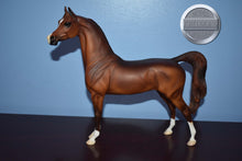 Load image into Gallery viewer, Unknown Name-Chestnut Arabian-Matte-Peter Stone