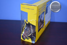 Load image into Gallery viewer, Rhapsody in Black-New in Box-Weathergirl Mold-Breyer Traditional