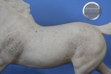Load image into Gallery viewer, Black Beauty Mold-BODY-Breyer Traditional