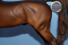 Load image into Gallery viewer, Unknown Name-Chestnut Arabian-Matte-Peter Stone