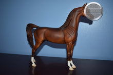 Load image into Gallery viewer, Unknown Name-Chestnut Arabian-Matte-Peter Stone