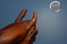 Load image into Gallery viewer, Unknown Name-Chestnut Arabian-Matte-Peter Stone