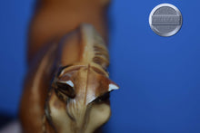 Load image into Gallery viewer, Vintage Palomino Western Horse BODY-NO SADDLE-Western Horse Mold-Breyer Traditional