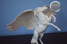 Load image into Gallery viewer, Custom White Pegasus-American Dream Mold-Breyer Classic