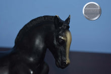 Load image into Gallery viewer, Appaloosa Laying Foal-Vintage-Laying Foal Mold-Breyer Traditional