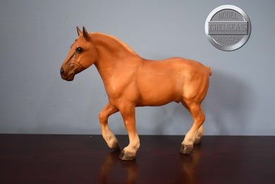 Roy the Belgian Drafter-Original on the Mold-Breyer Traditional