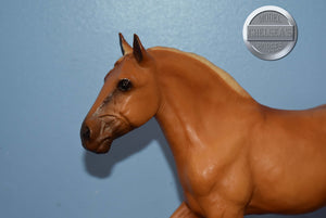 Roy the Belgian Drafter-Original on the Mold-Breyer Traditional