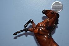 Load image into Gallery viewer, Wild and Free-Mustang Only-Rearing Mustang Mold-Breyer Classic