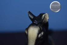 Load image into Gallery viewer, Appaloosa Laying Foal-Vintage-Laying Foal Mold-Breyer Traditional