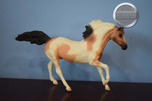 Load image into Gallery viewer, Buckskin Pinto-Andalusian Stallion Mold-Breyer Classic