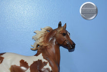 Load image into Gallery viewer, Pinto Arabian Stallion-Tail Tip Broken-Huckleberry Bey Mold-Breyer Traditional